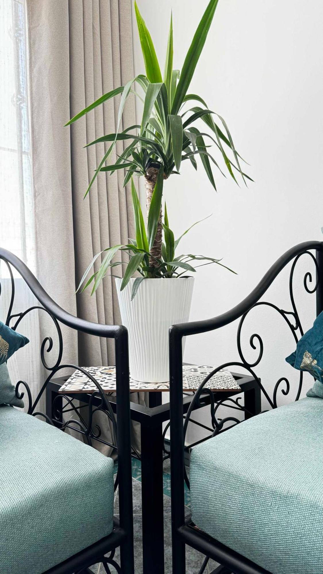 Calays Tu Hogar Junto Al Mar Apartment Tanger Ngoại thất bức ảnh